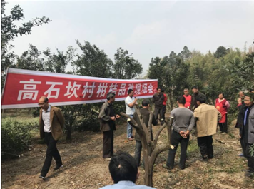 品改现场会现场 品改现场会现场