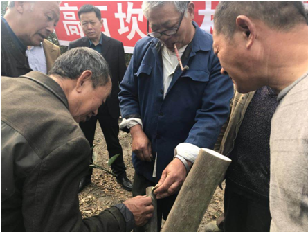 专家现场讲解品改技术 专家现场讲解品改技术