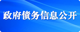 政府债务信息公开