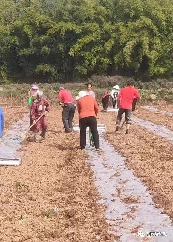 微信图片_20230314153704