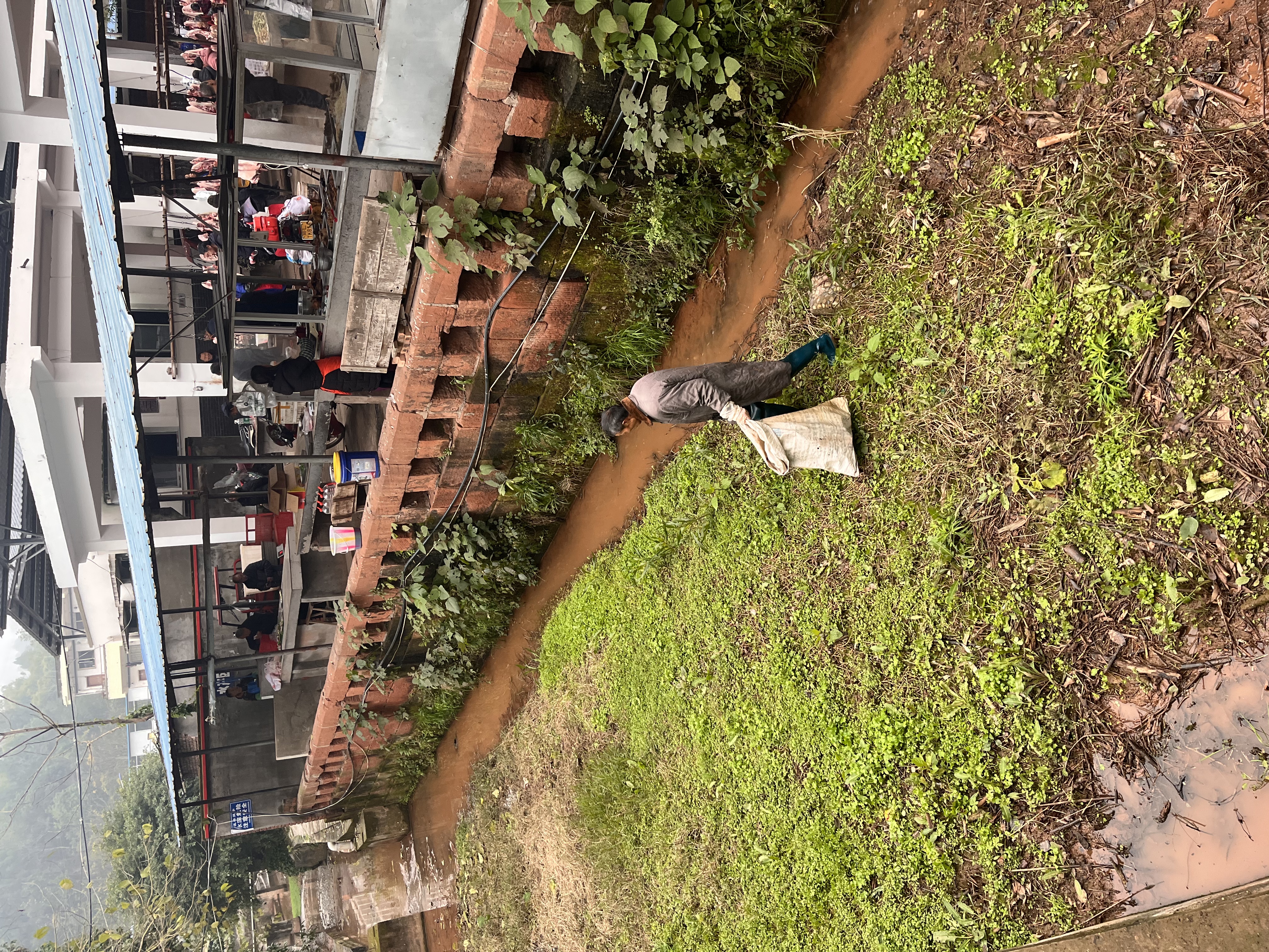 镇阳镇清理河道垃圾 美化河岸环境