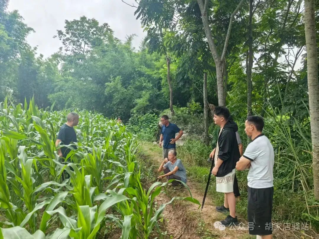 持续推进资乐高速自建户宅基地选址