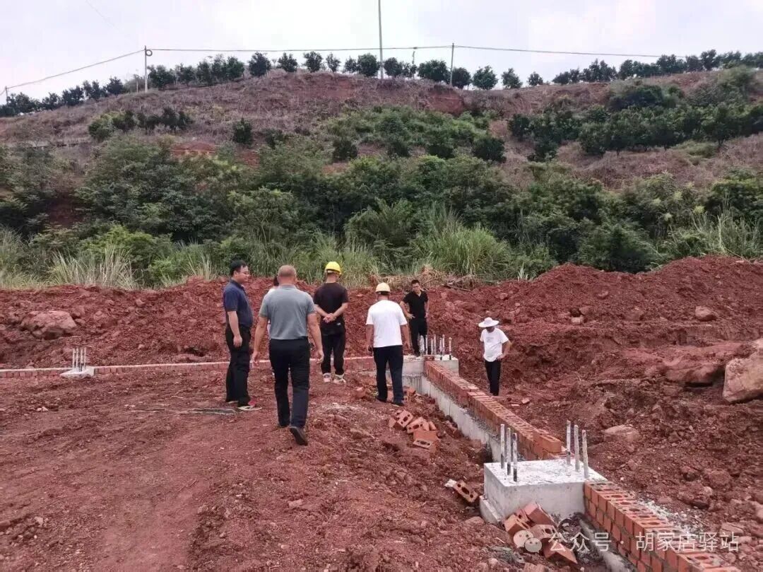集益镇推进界牌村柑橘分拣中心项目建设