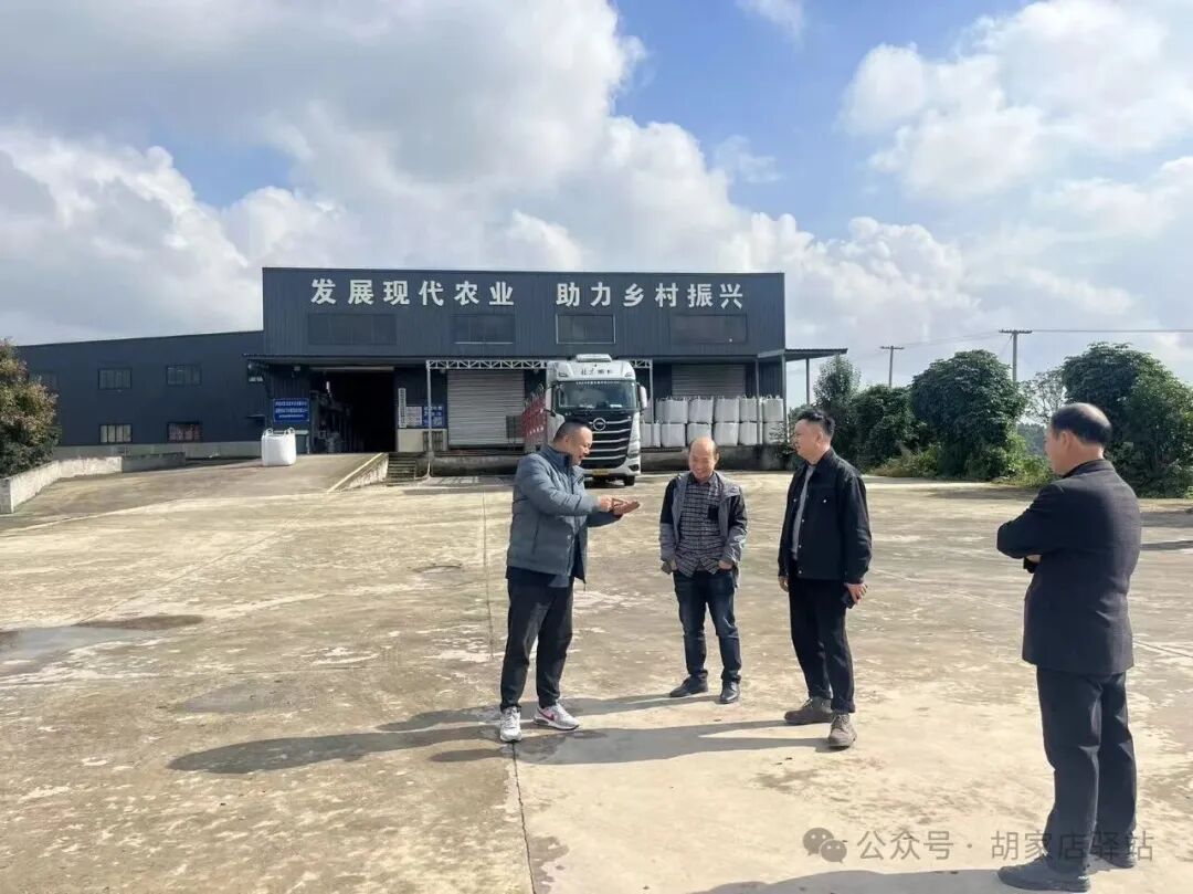 集益镇调研沃然农业公司果筐生产线运营情况