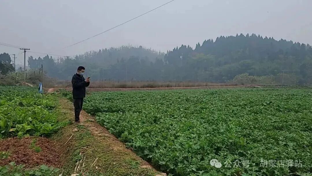 集益镇开展退养鱼塘恢复图斑举证工作