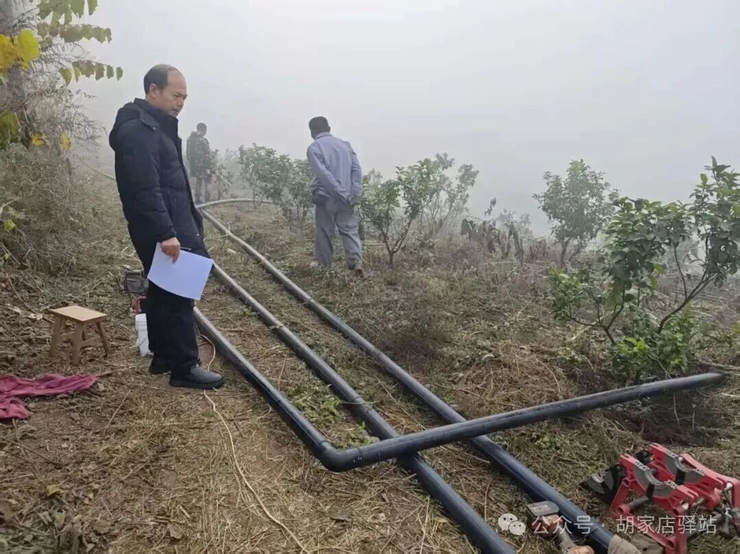 集益镇核实家庭农场培育项目情况