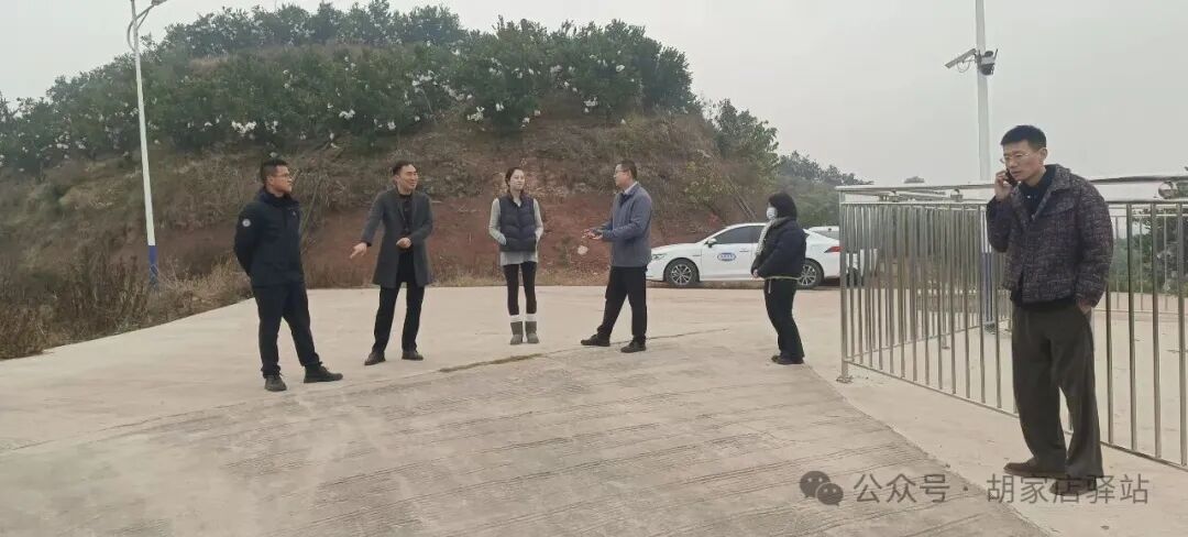 集益镇调研柑橘园区木虱防治情况