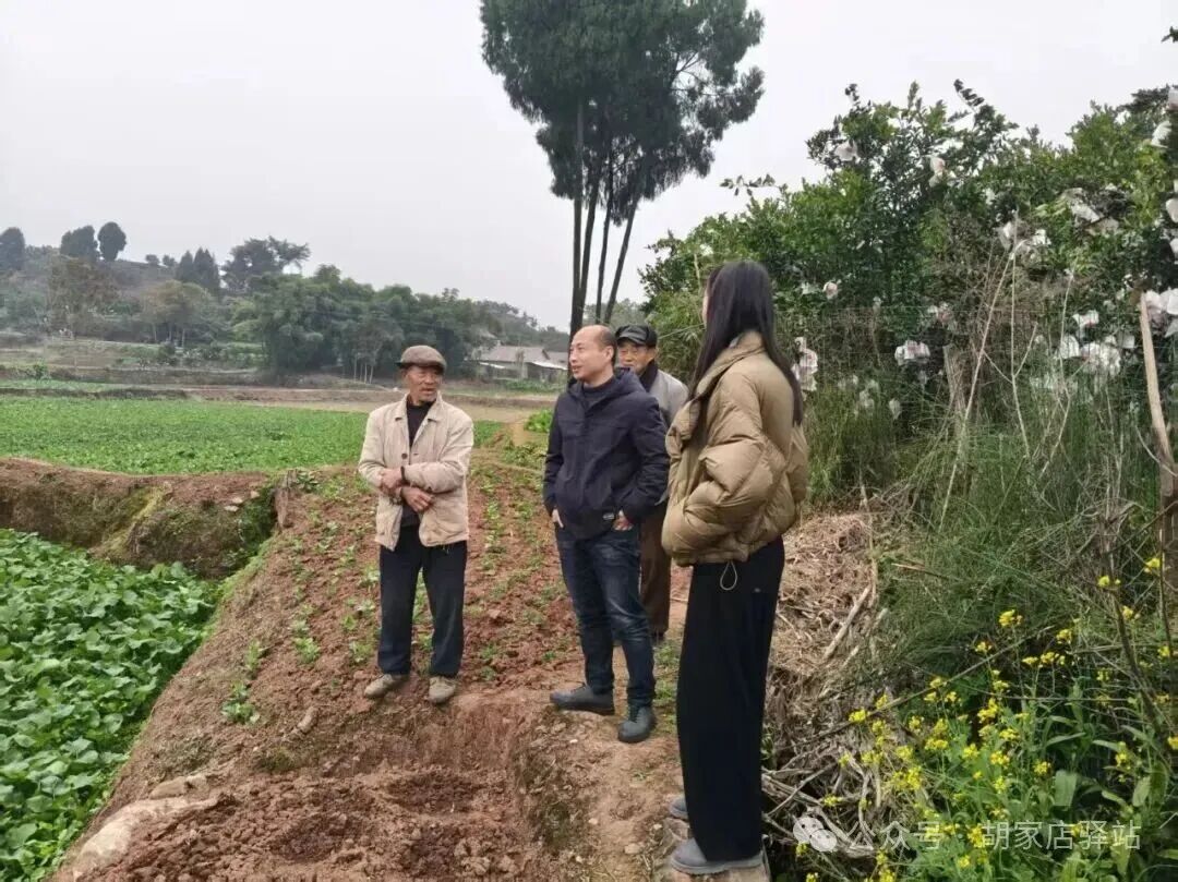 集益镇开展农田用水困难问题调研工作