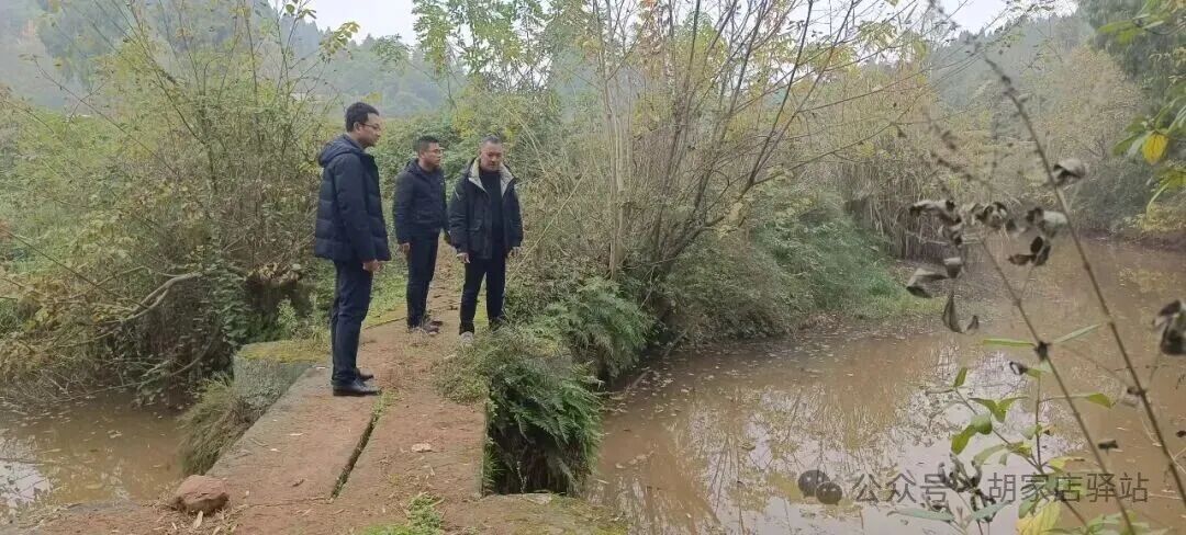 集益镇开展环保巡查工作