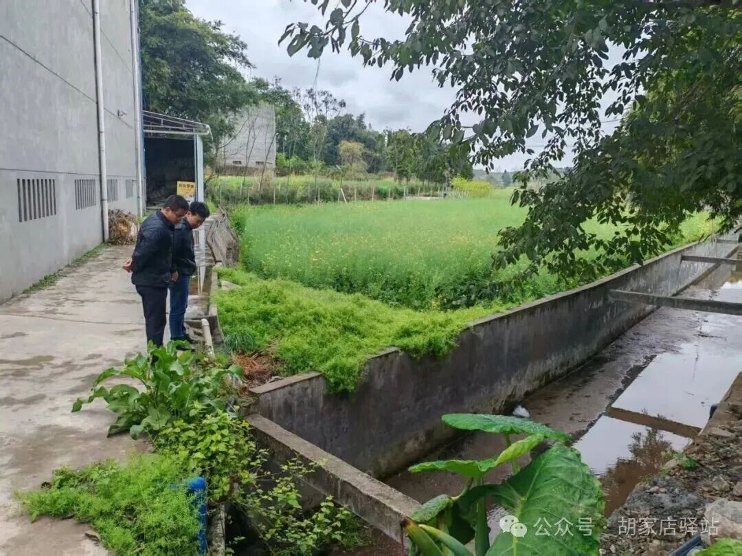 集益镇开展集镇污水管网巡查工作