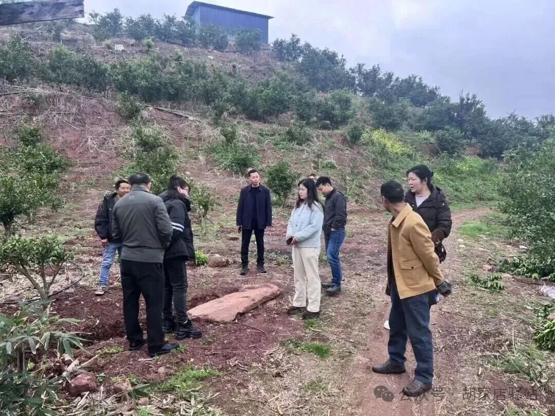 集益镇开展矛盾纠纷调解工作