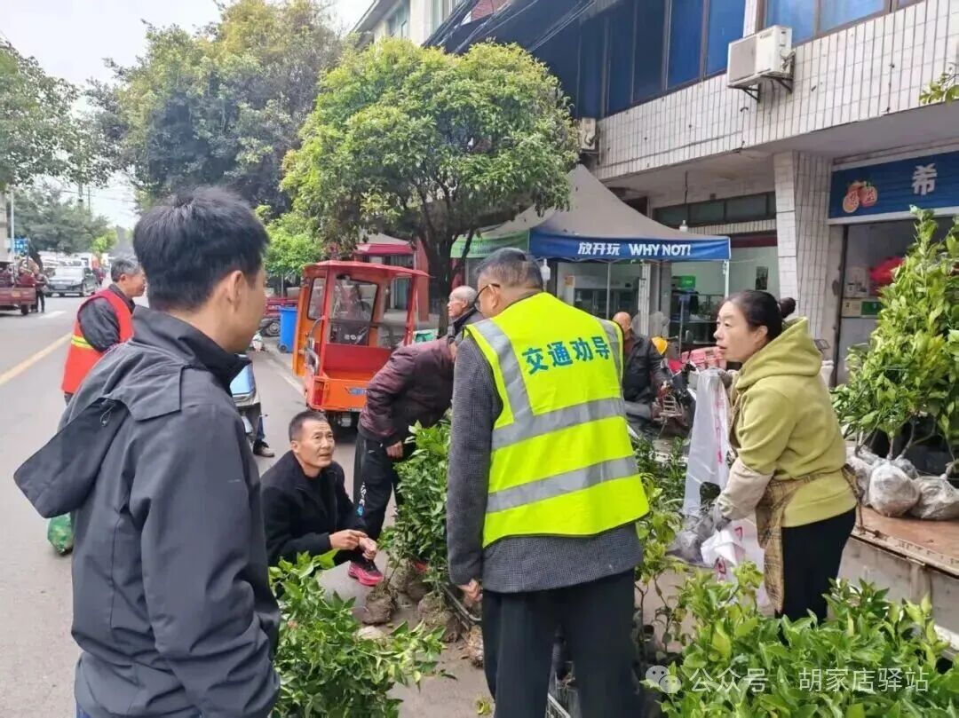 集益镇开展苗木销售检查工作