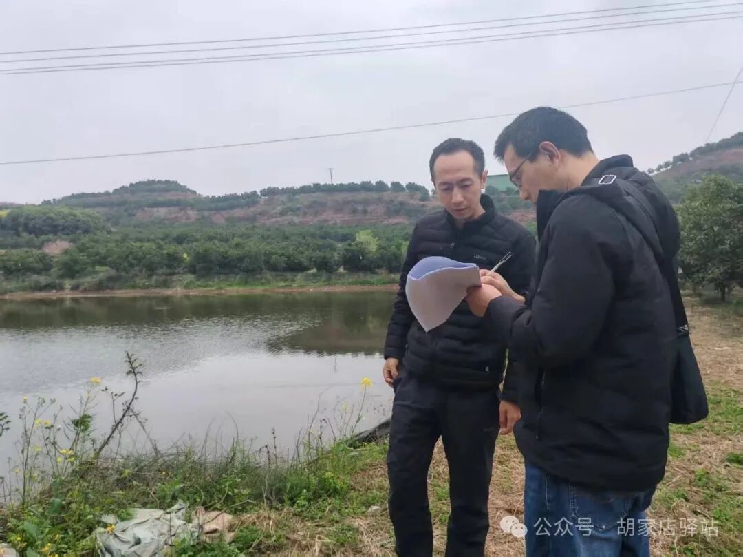 县农业农村局来集益镇指导耕地保护工作