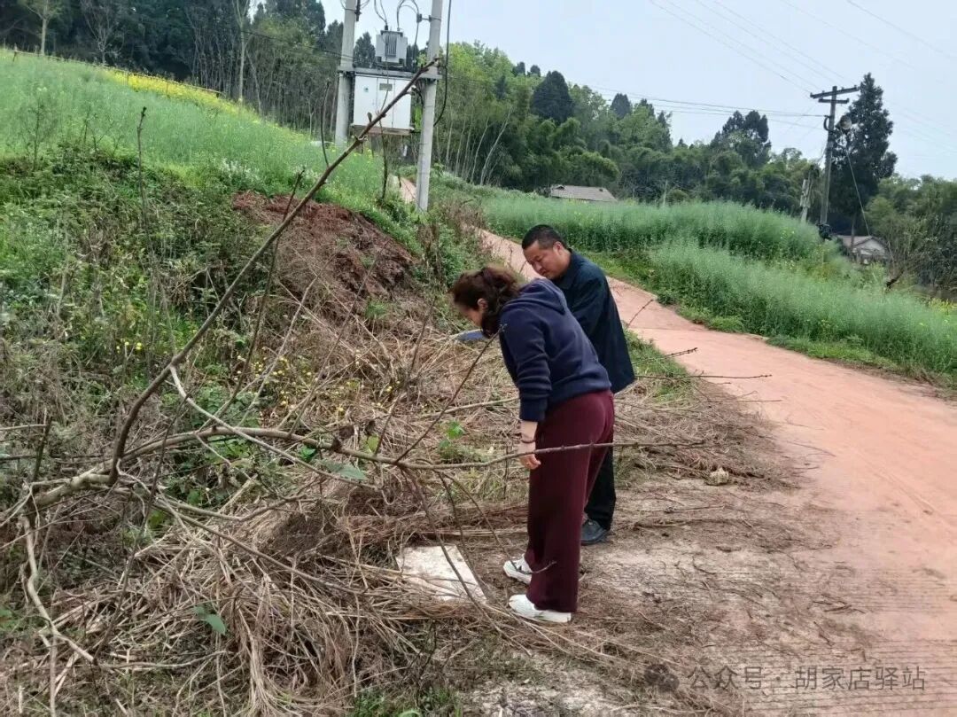 集益镇开展高标准农田建设项目运行排查工作