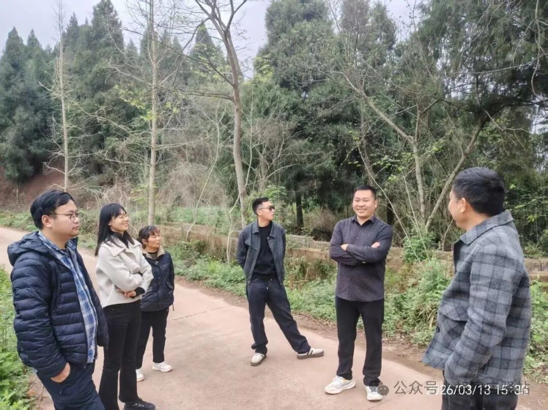 集益镇开展养牛场用地规划工作