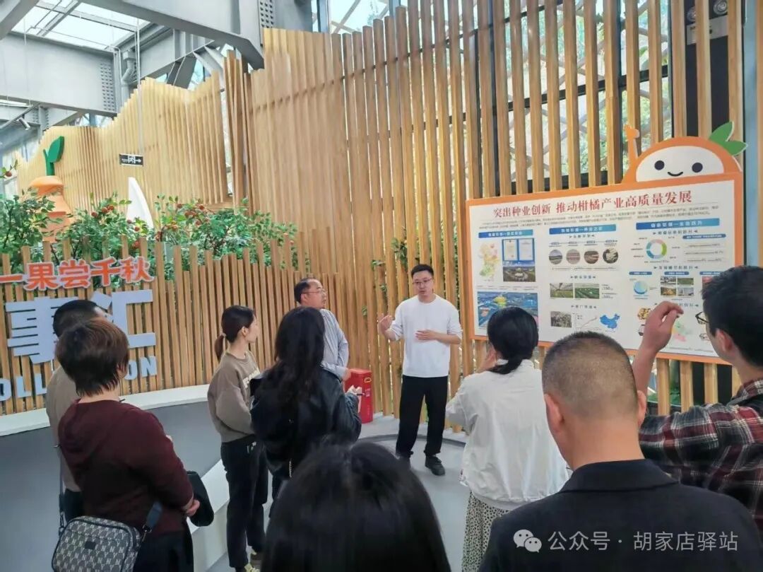 市中区干部来集益镇开展调研