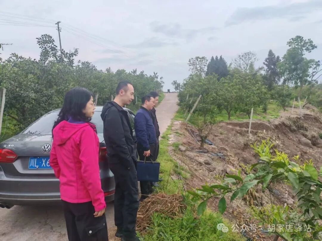 县农业农村局来集益镇开展原地粮油种植调研