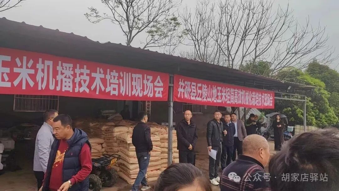 集益镇参加丘陵山地玉米轻简高效机械化栽培技术现场会