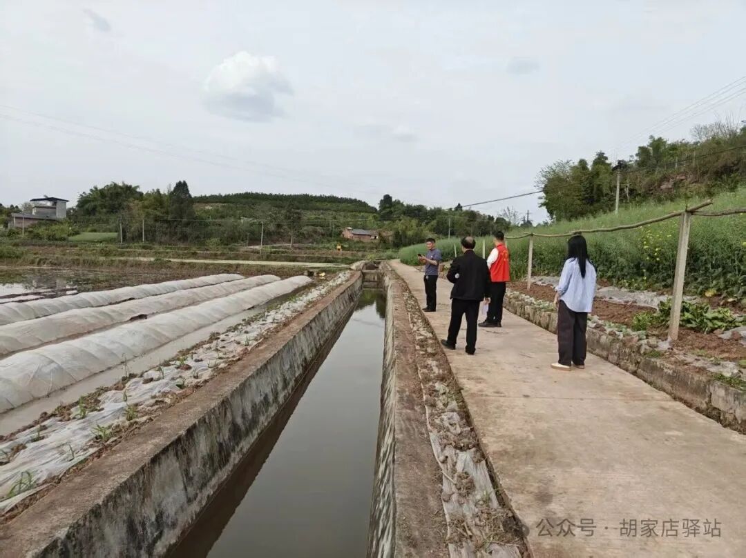集益镇查看赛功村渠道